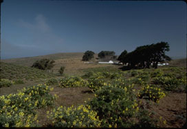 Home Page Image
